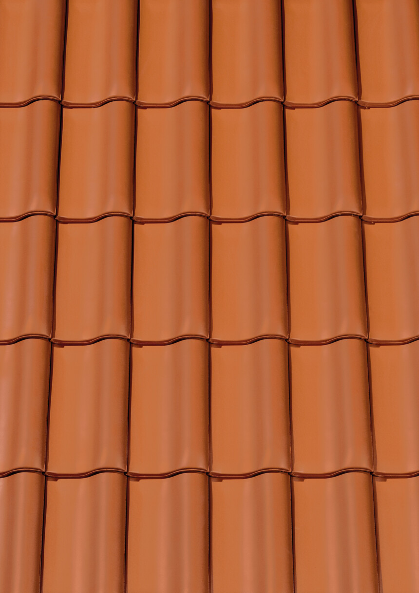 Czerwona naturalna – laying