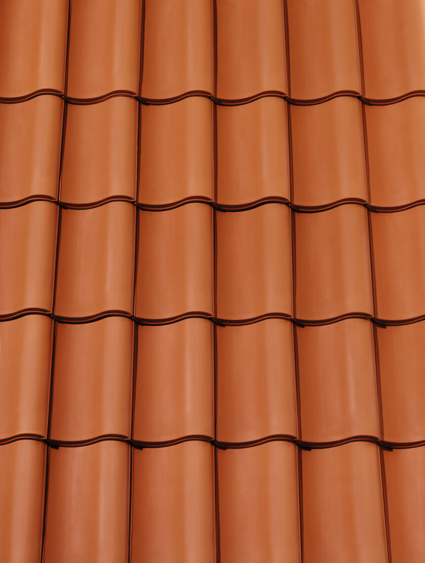 Czerwona naturalna – laying