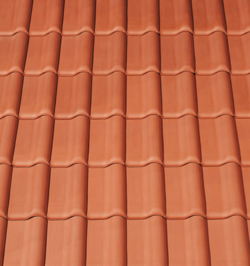 Czerwona naturalna – laying