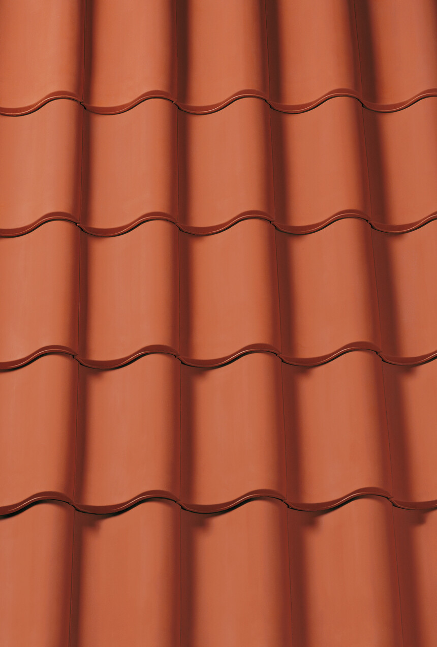 Czerwona naturalna – laying