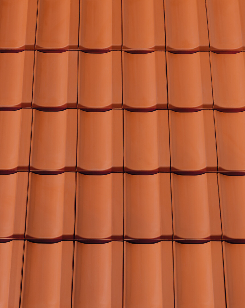 Czerwona naturalna – laying