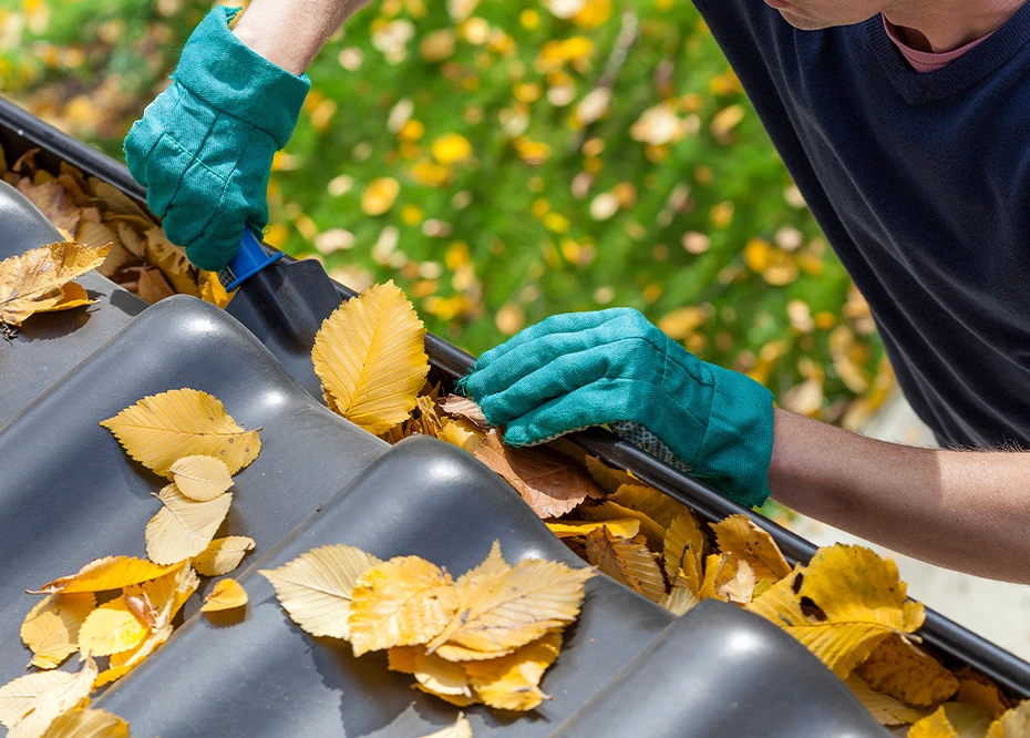 Jak dbać i konserwować dach